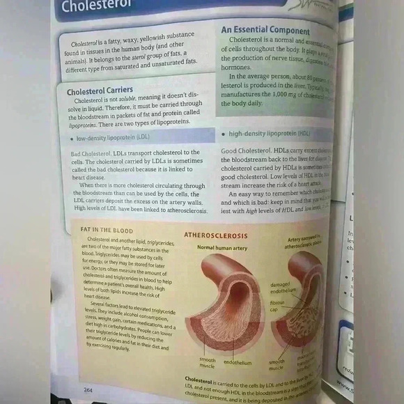 Southwestern Advantage Text Books for High School, Honors, and College Prep - Picture 10 of 13